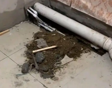 龙湖卫生间漏水检测哪家好